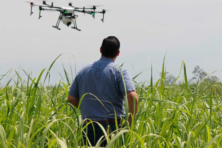 Servicio de grabación con dron para Ayuntamientos y Hoteles