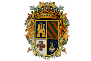 DTI Ayuntamiento de Fuenteovejuna