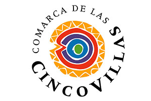 DTI Comarca Cinco Villas